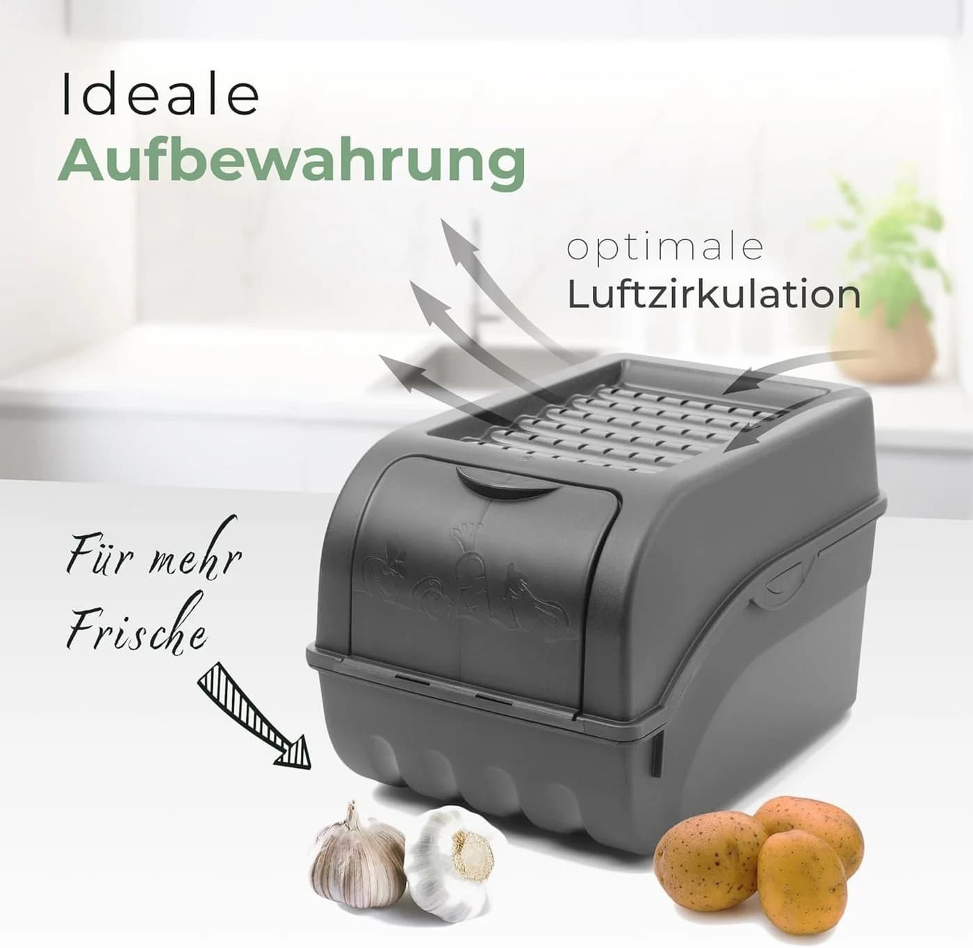 Novaliv Aufbewahrungsbox 3x 3,5L Anthrazitgrau Kartoffel Zwiebel