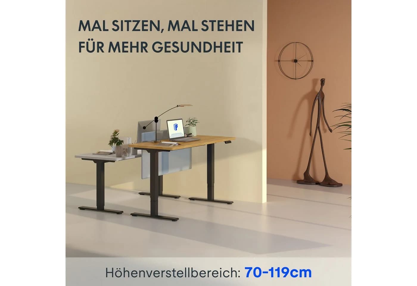 FLEXISPOT Schreibtisch Basic Plus Elektrisch Höhenverstellbar 2 Motoren 25mm Tischplatte
