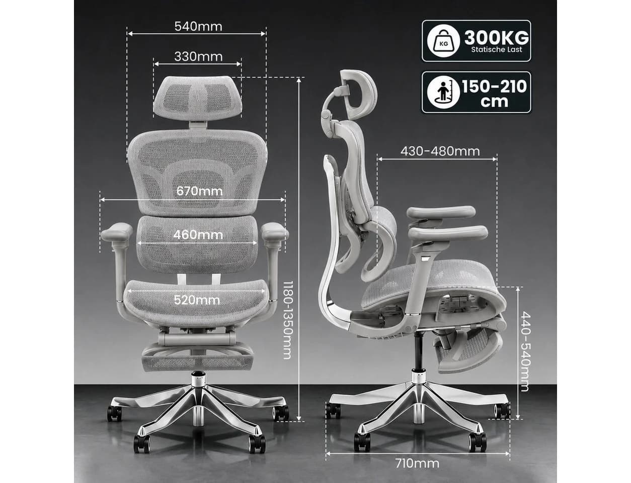 FLEXISPOT Bürostuhl ErgoX Grau 5D Armlehnen 4D Kopfstütze 300KG Tragkraft