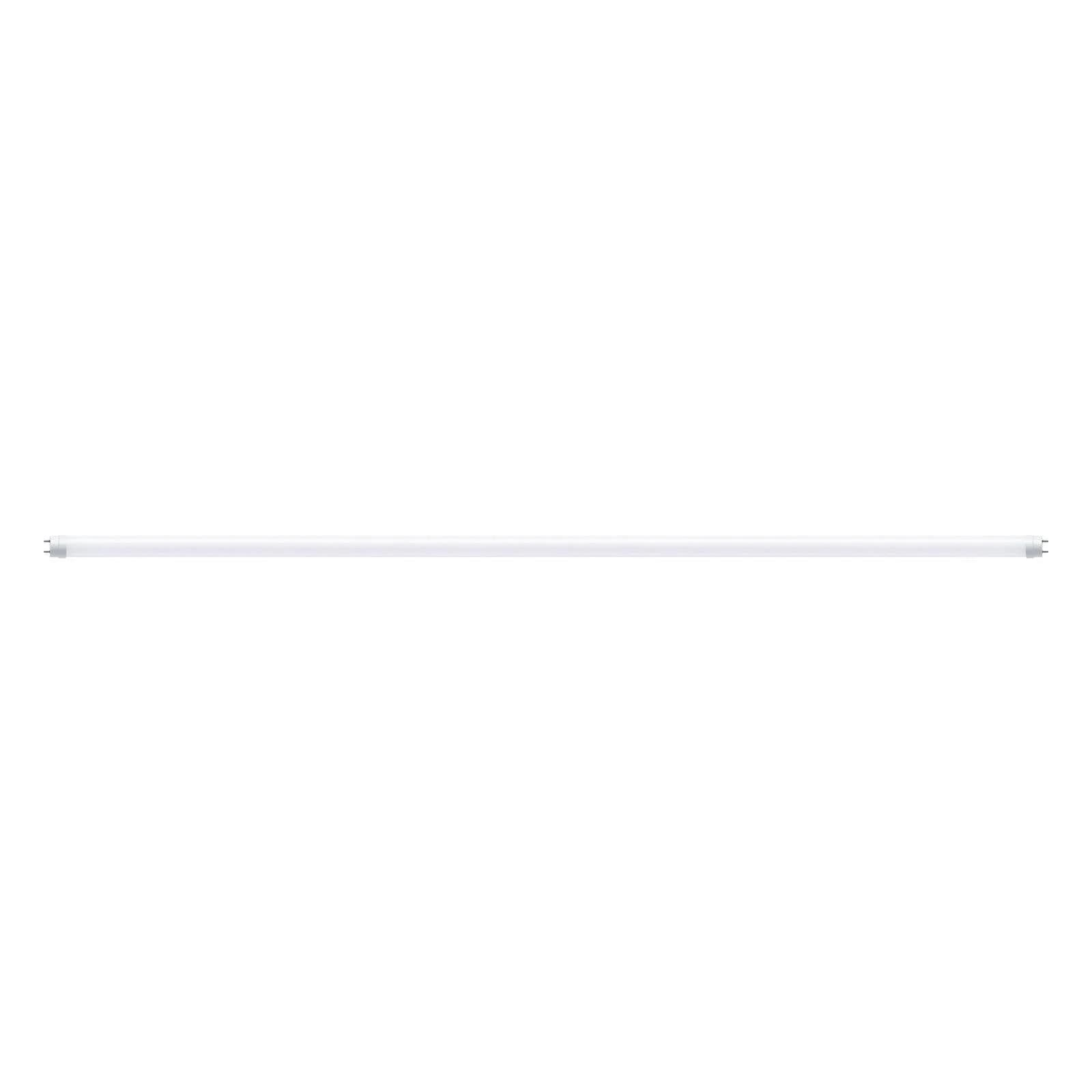 LED-Leuchtmittel Weiß Tageslichtweiß
