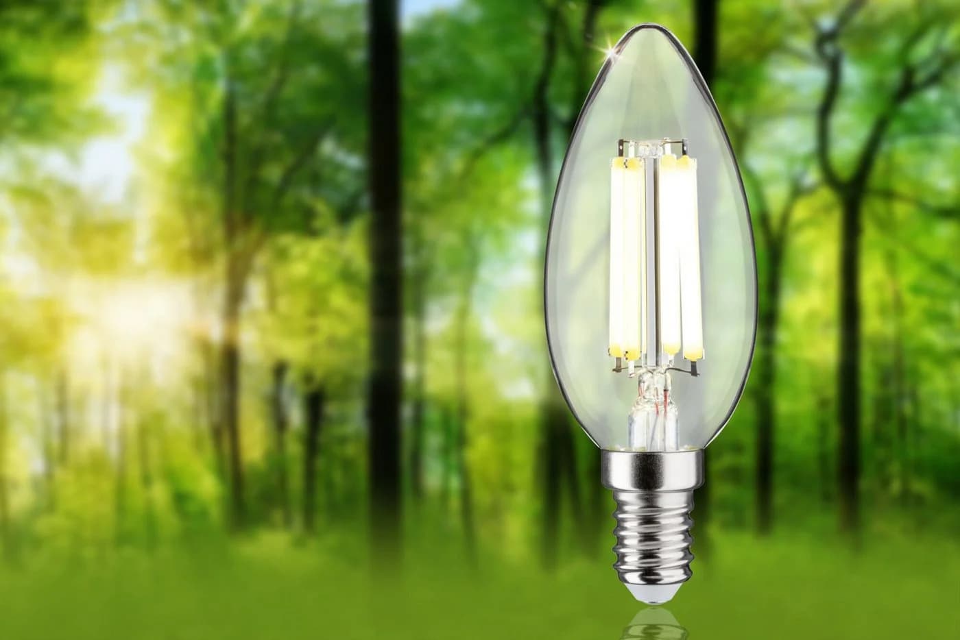 PAULMANN LED-Leuchtmittel Eco-Line Filament E14 Kerze 2,5W 4000K Transparent