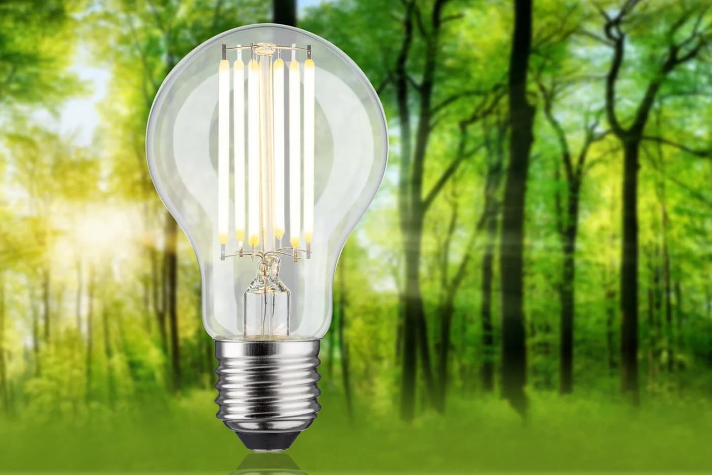 Paulmann LED-Leuchtmittel Eco-Line Filament E27 Warmweiß 7,2W 1521lm