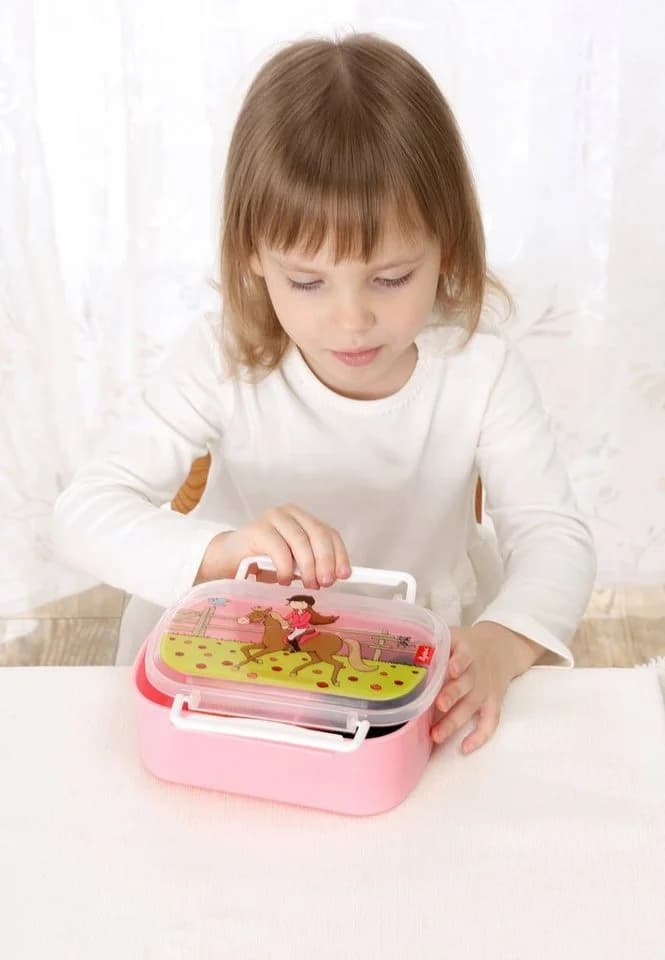 Sigikid Lunchbox Brotdose mit Rohkostschälchen Bunt