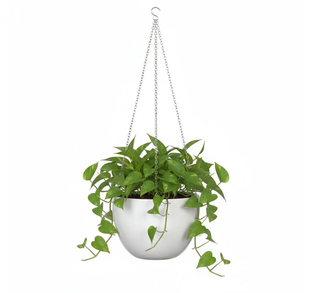 Scheurich Blumentopf 18/835 Hanging Pot Keramik Weiß