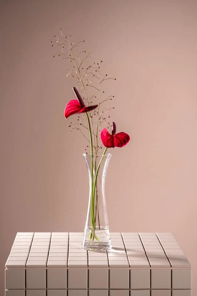 LEONARDO Solifleurvase GIA 25 cm Glas