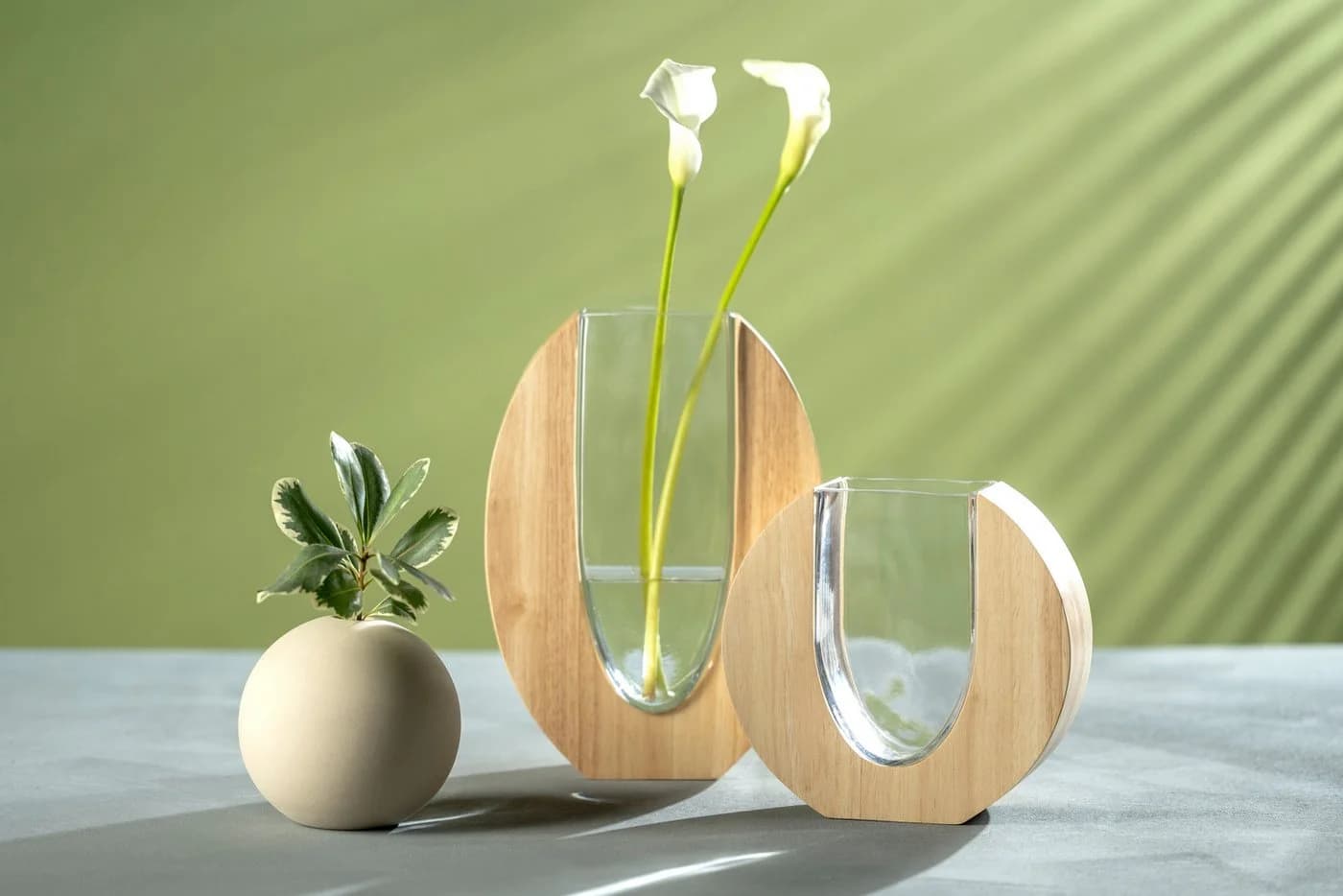 Leonardo Vase LEGNO Braun Ellipsenförmig