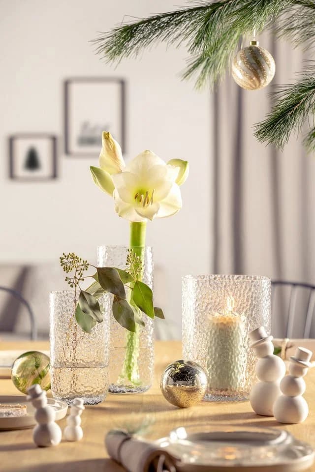 LEONARDO Windlicht MARTELLO Glas Deko 21 cm