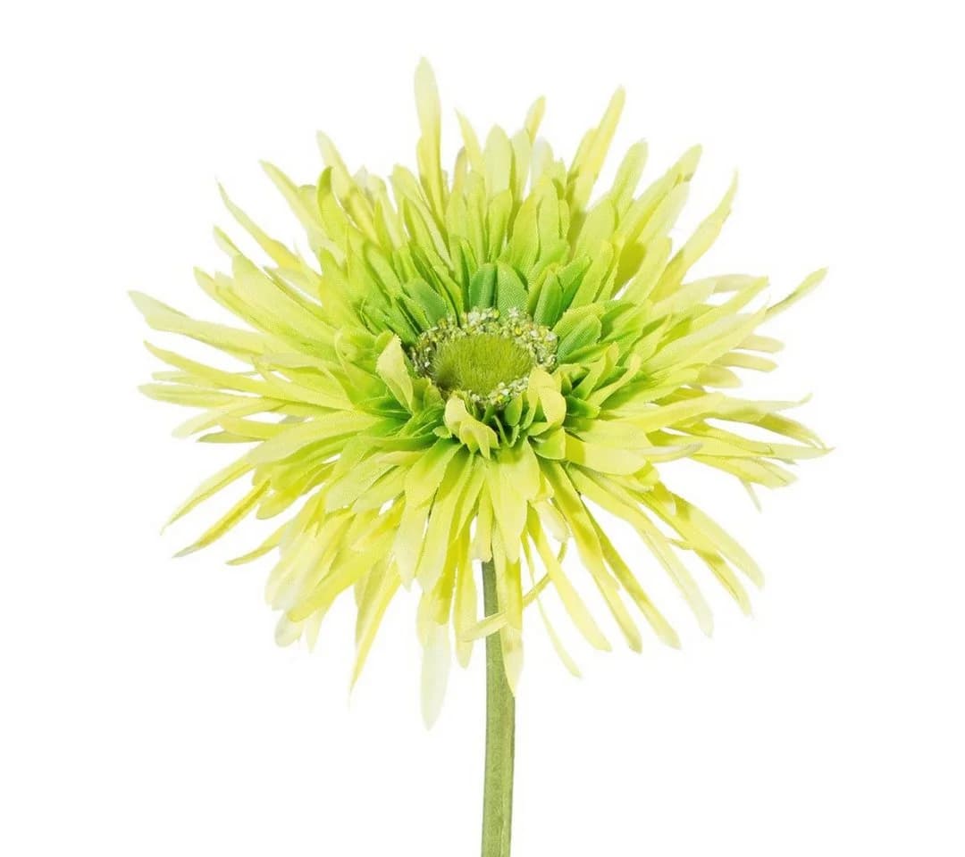 Gasper Kunstblume Gerbera Grün 57cm Seidenblume