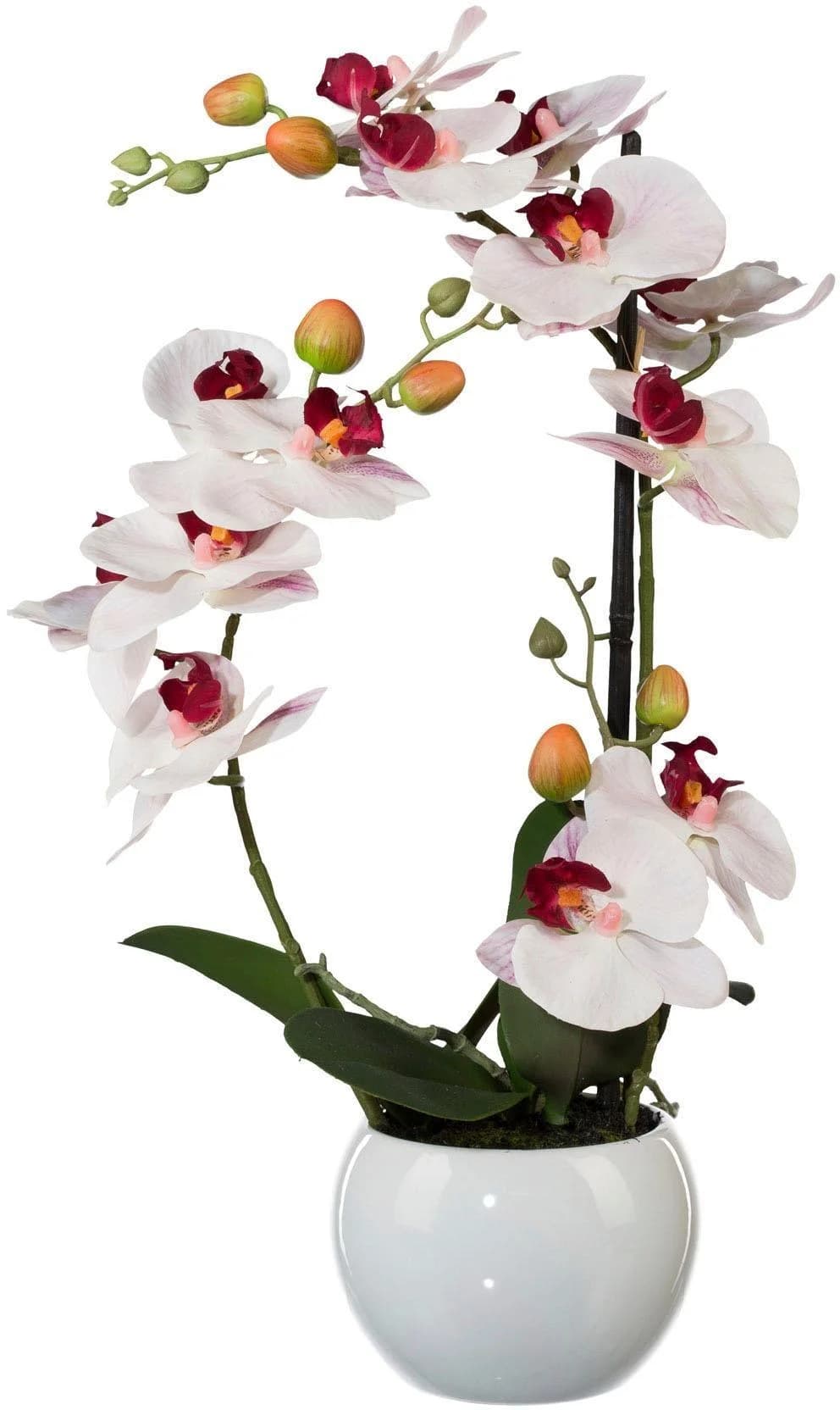 CREATIV GREEN Kunstpflanze Phalaenopsis Rosa mit Keramiktopf