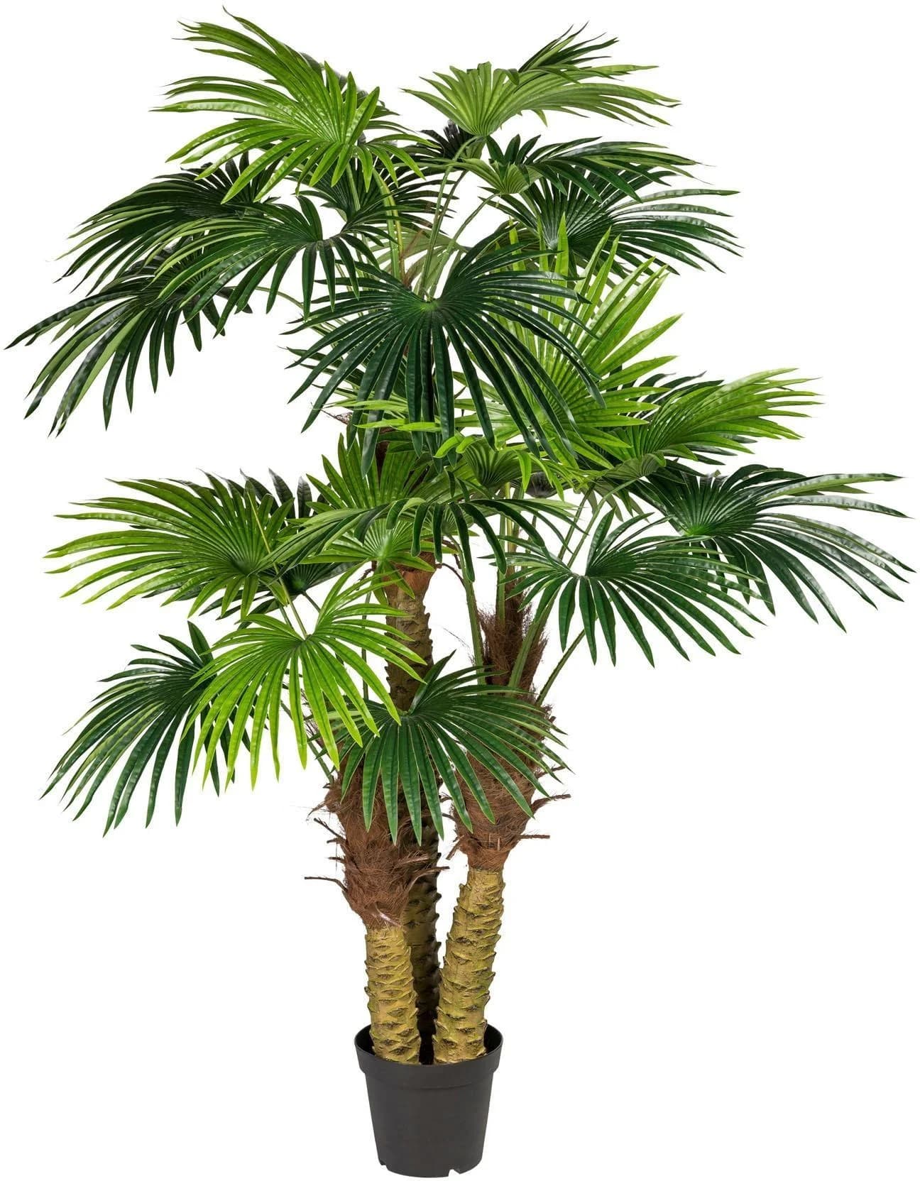 CREATIV GREEN Kunstpalme Fächerpalme Grün 185cm