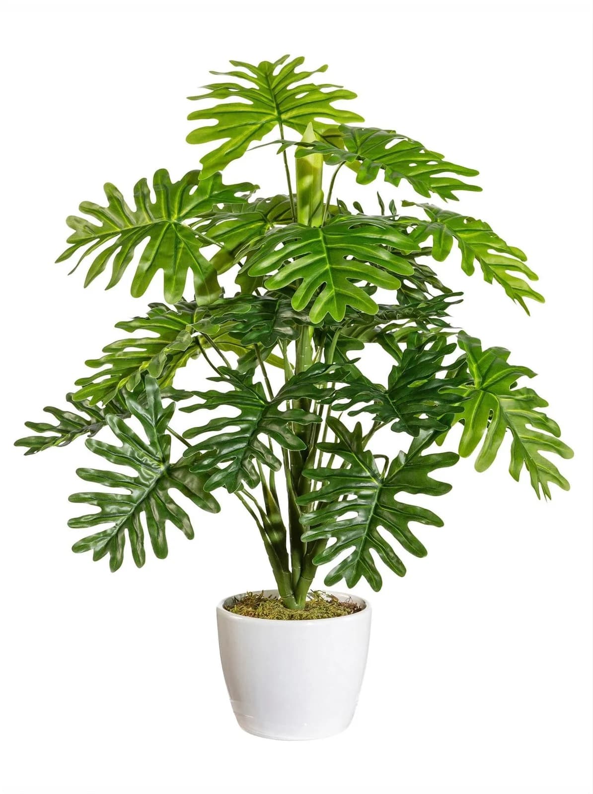 GASPER Kunstpflanze Monstera Grün-Weiß Keramiktopf