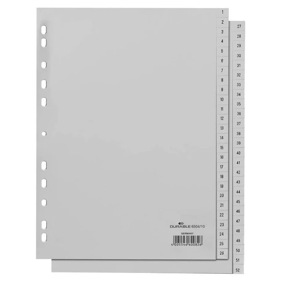DURABLE Aktenordner 52-tlg. Grau Zahlenregister DIN A4 hoch