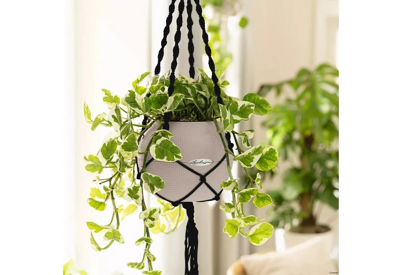 Lechuza® Blumenampel Makramee Aufhängung Schwarz