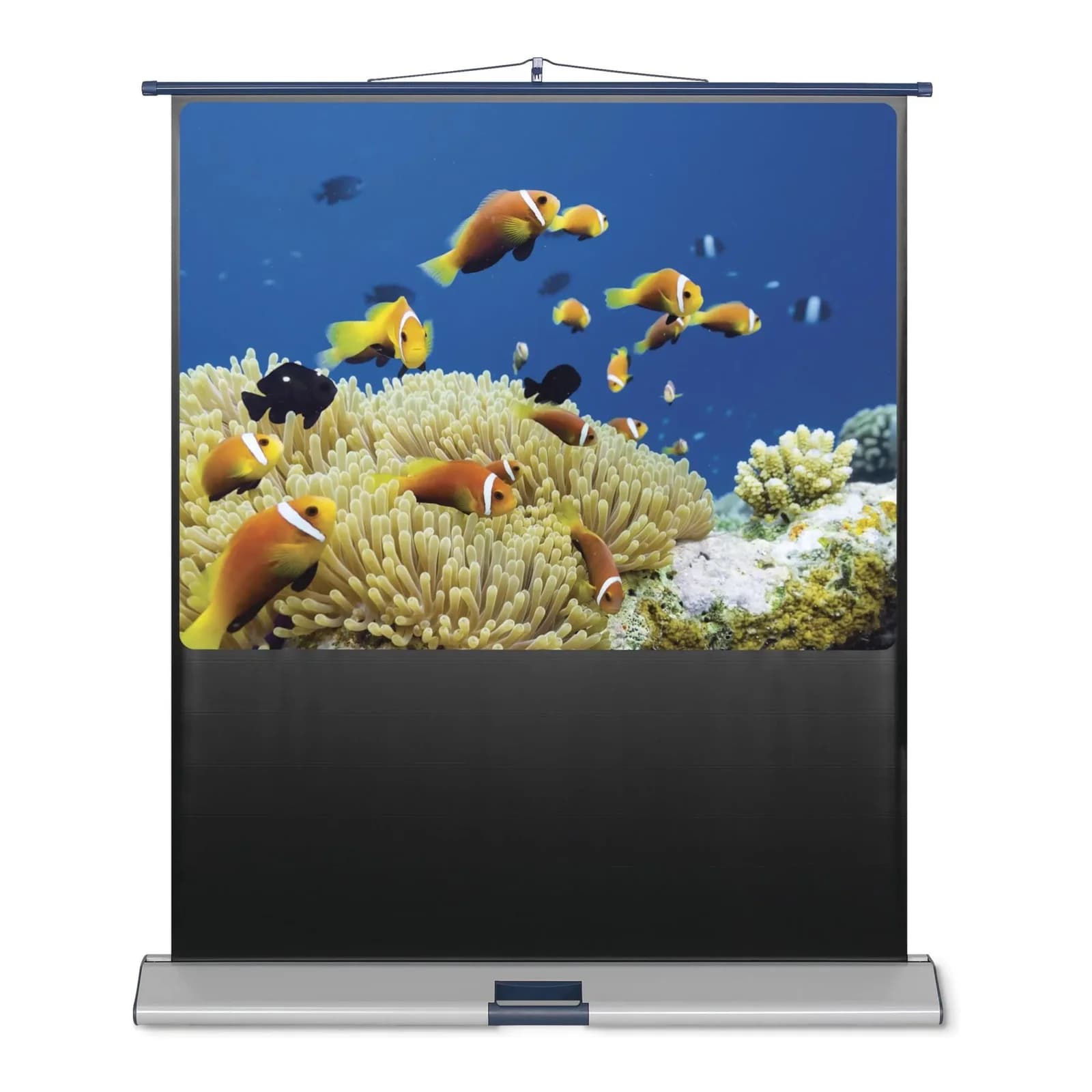 Magnetoplan Leinwand Mobil Standard 4:3