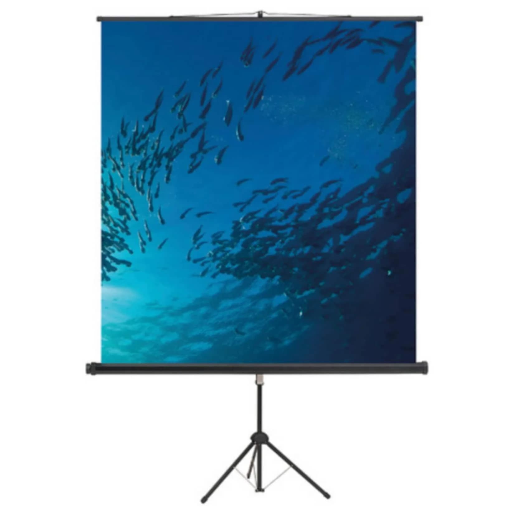 Magnetoplan Stativ Leinwand Standard 2000x2000mm