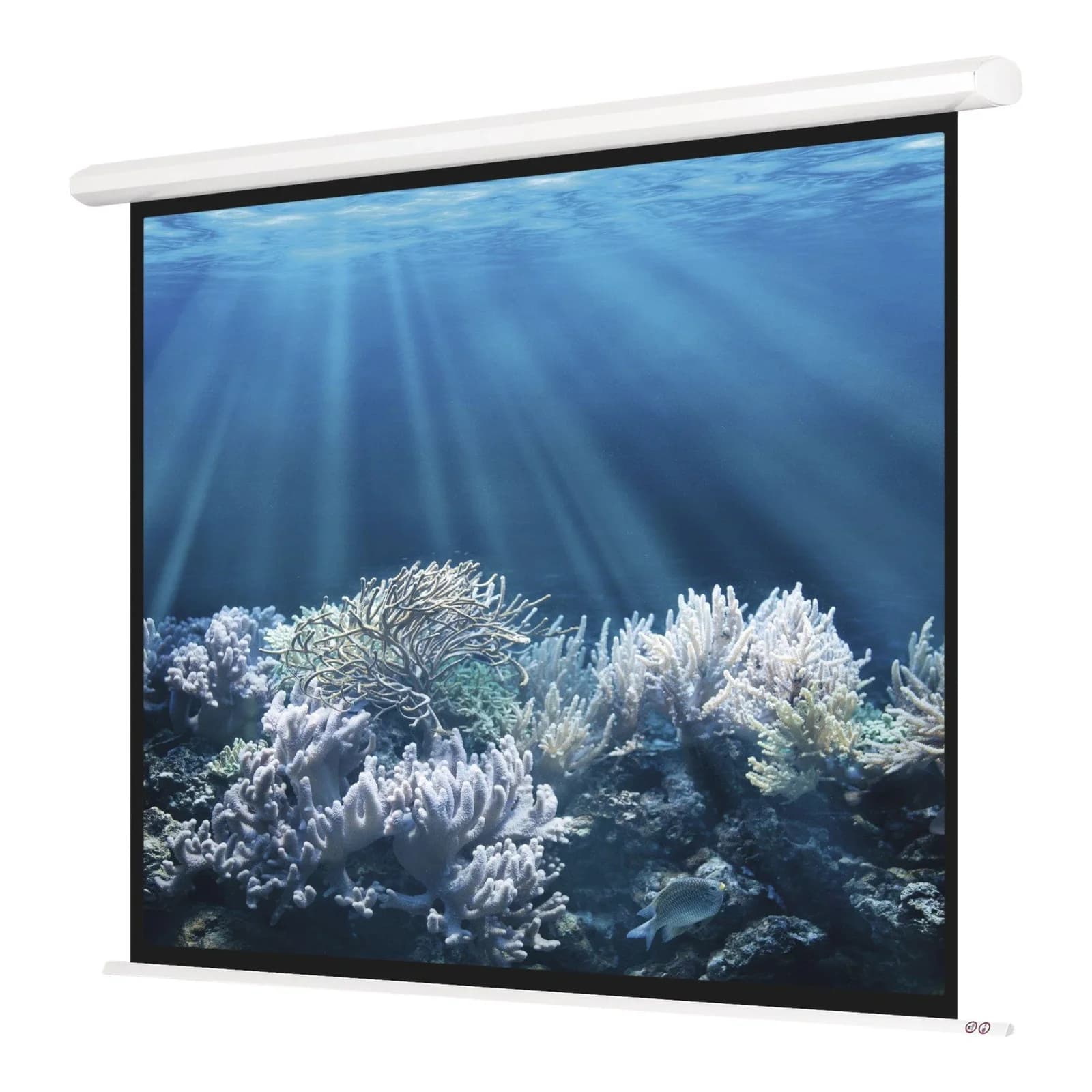 Magnetoplan Elektrische Leinwand Standard 2000 x 1500 mm 4:3