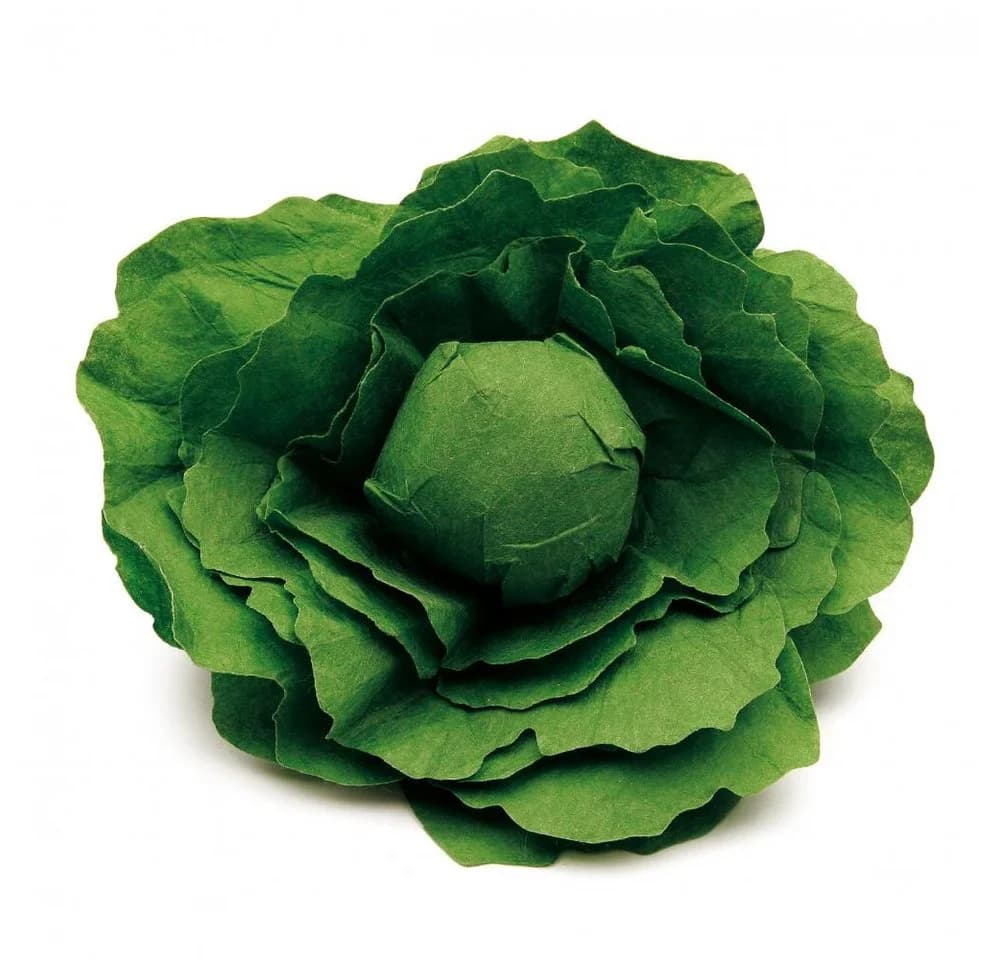 Erzi® Spiellebensmittel Salatkopf Grün Buchenholz Made in Germany
