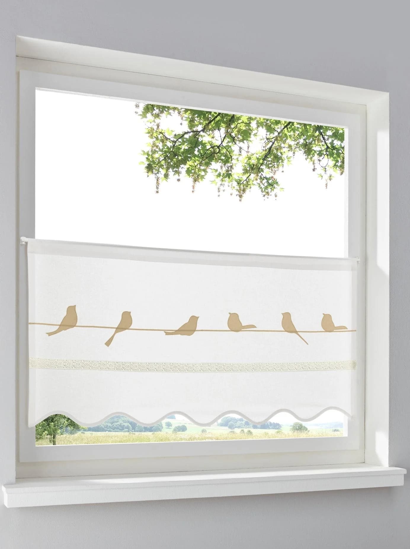 HEINE HOME Querbehang Weiß Natur 120x60cm Baumwolle