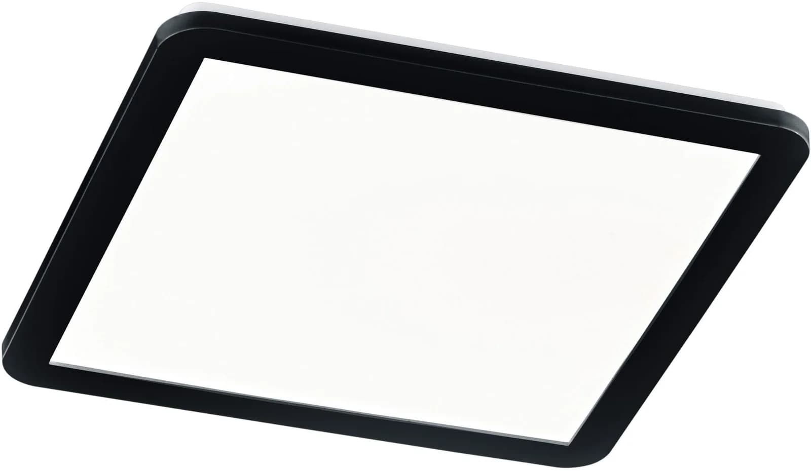 Reality Leuchten LED Deckenleuchte Camillus Warmweiß Schwarz
