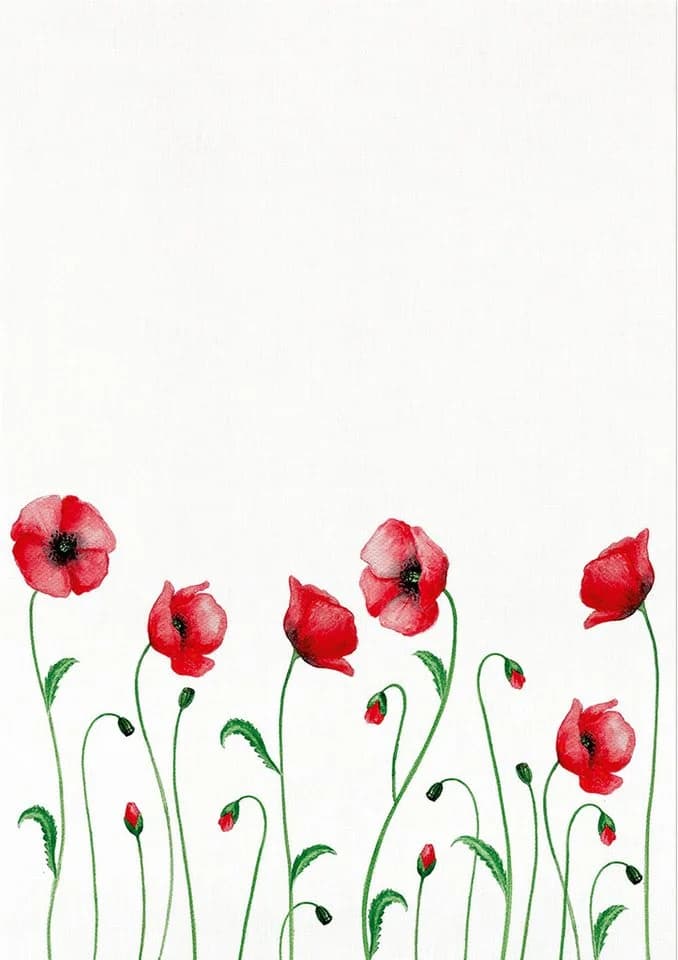 Kracht Geschirrtuch Mohnblume 3er Pack Halbleinen Rot