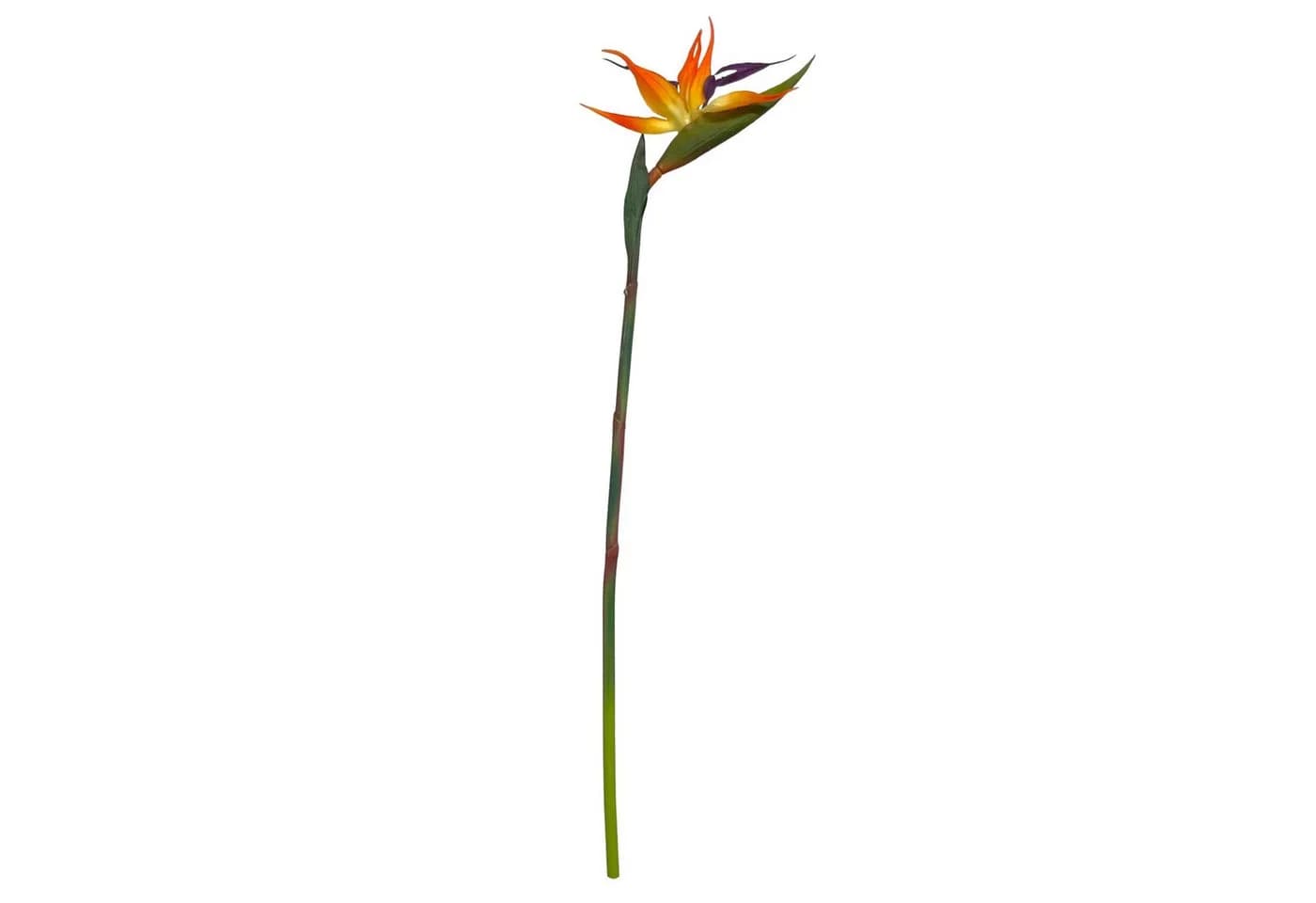 Künstliche Strelitzie ca. 60cm Paradiesvogelblume Papageienblume, Floratexx GmbH