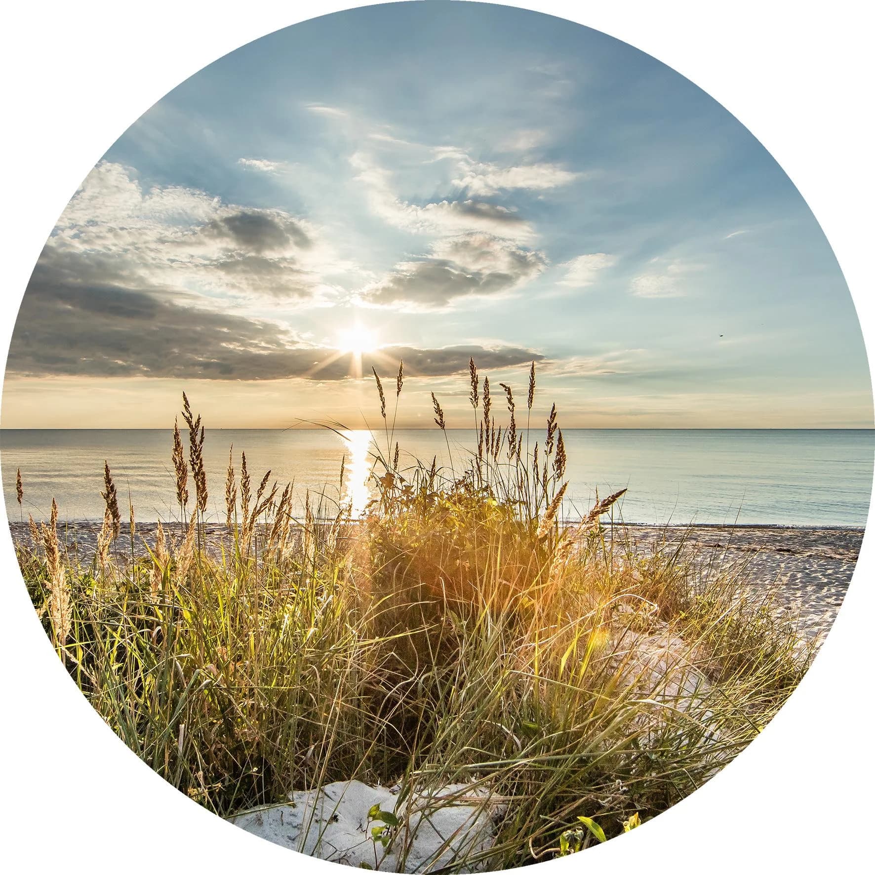 Glasbild WILDER STRAND Mehrfarbig