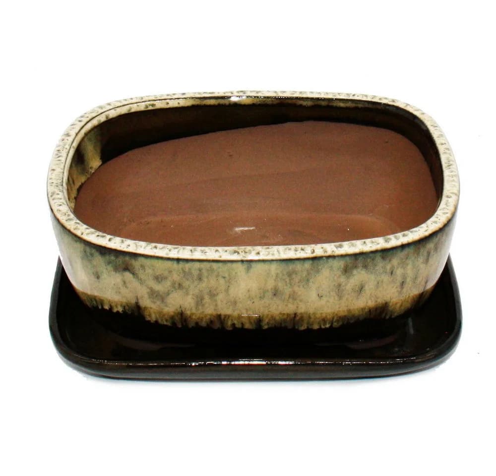 Exotenherz Bonsai-Schale Rechteckig Braun-Beige Keramik