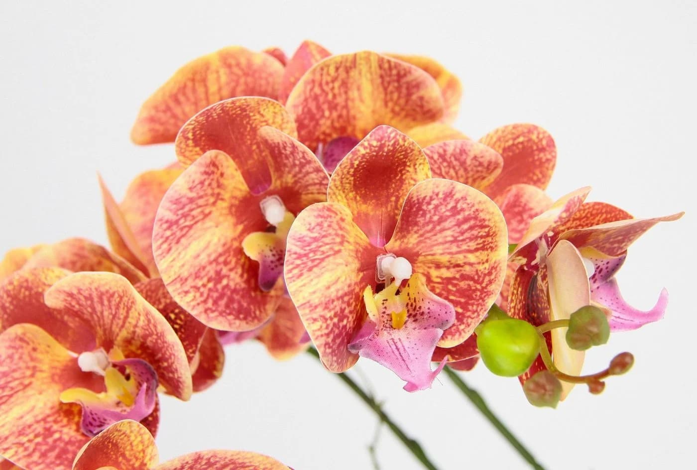 Kunstblume Orchidee Phalaenopsis mit Übertopf Hochzeit
