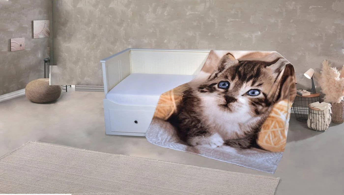 KINZLER Wohndecke Mikrofaser Fotodruck Katze Bunt 150x200 cm