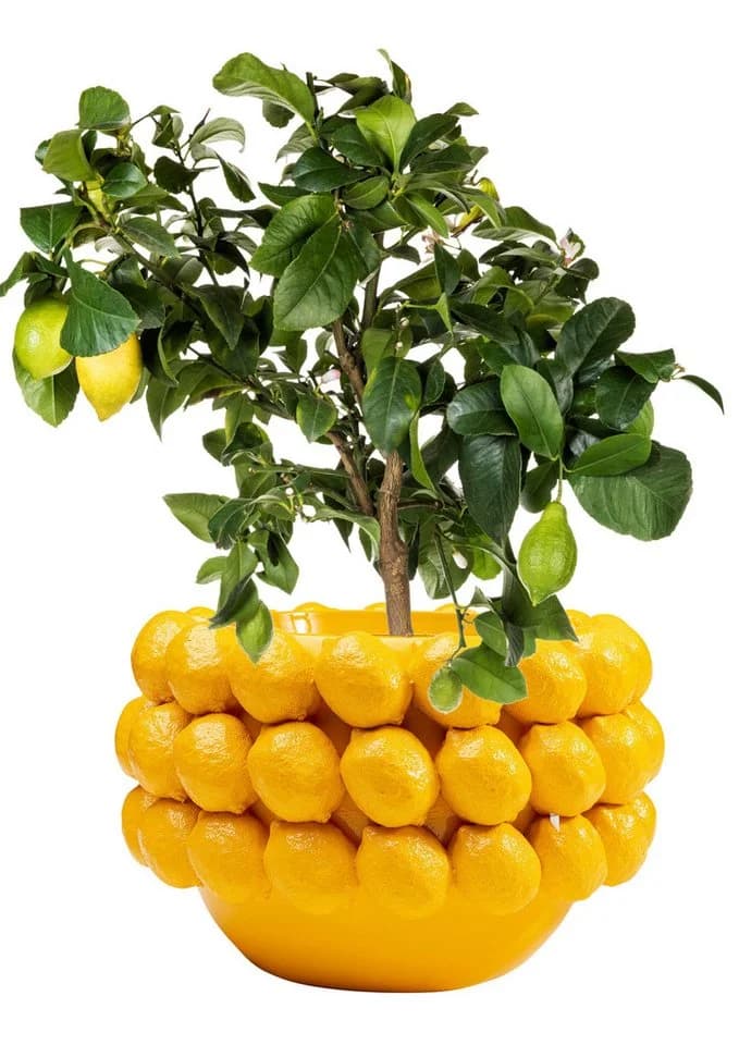 KARE Deko-Übertopf Lemon Juice 22 cm Gelb Polysandstein