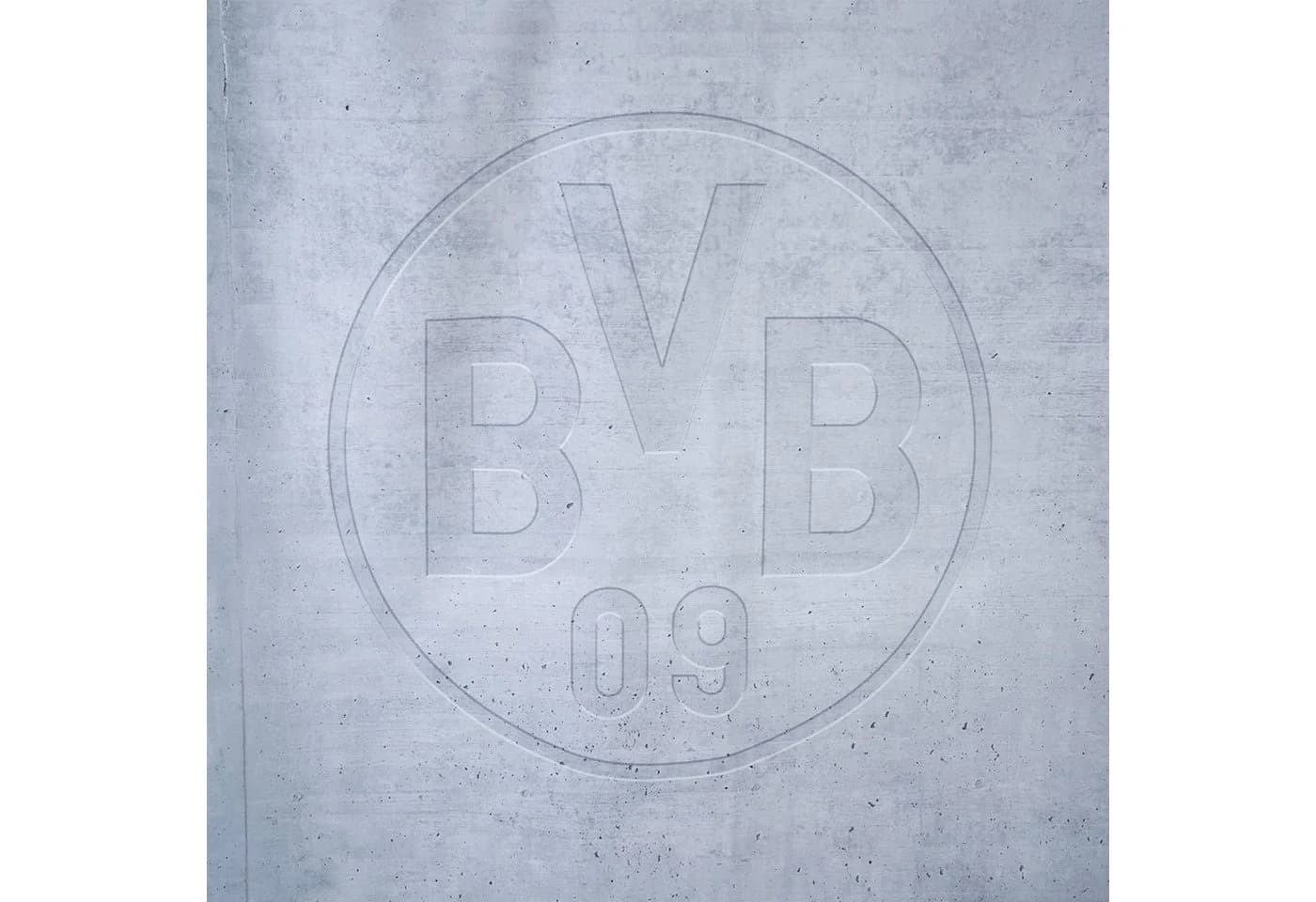 BVB Duschvorhang Grau mit BVB-Emblem Design