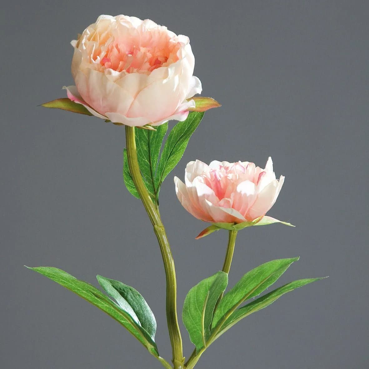 DPI Kunstblume Päonie Rosa 60 cm