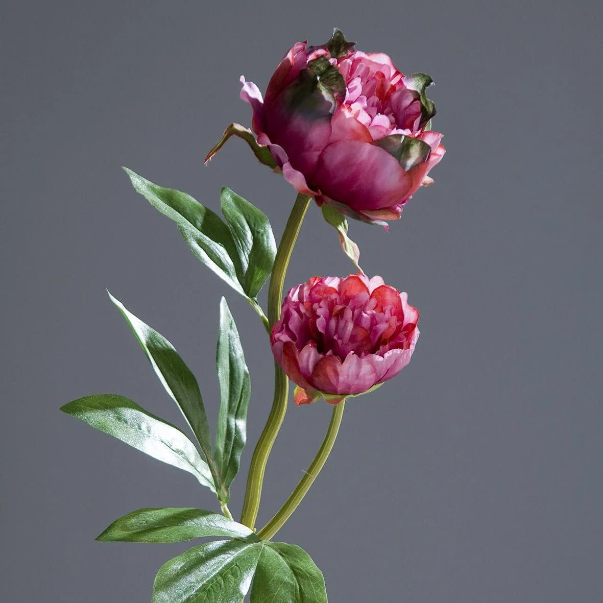 DPI Kunstblume Päonie Rosa 60 cm Deko