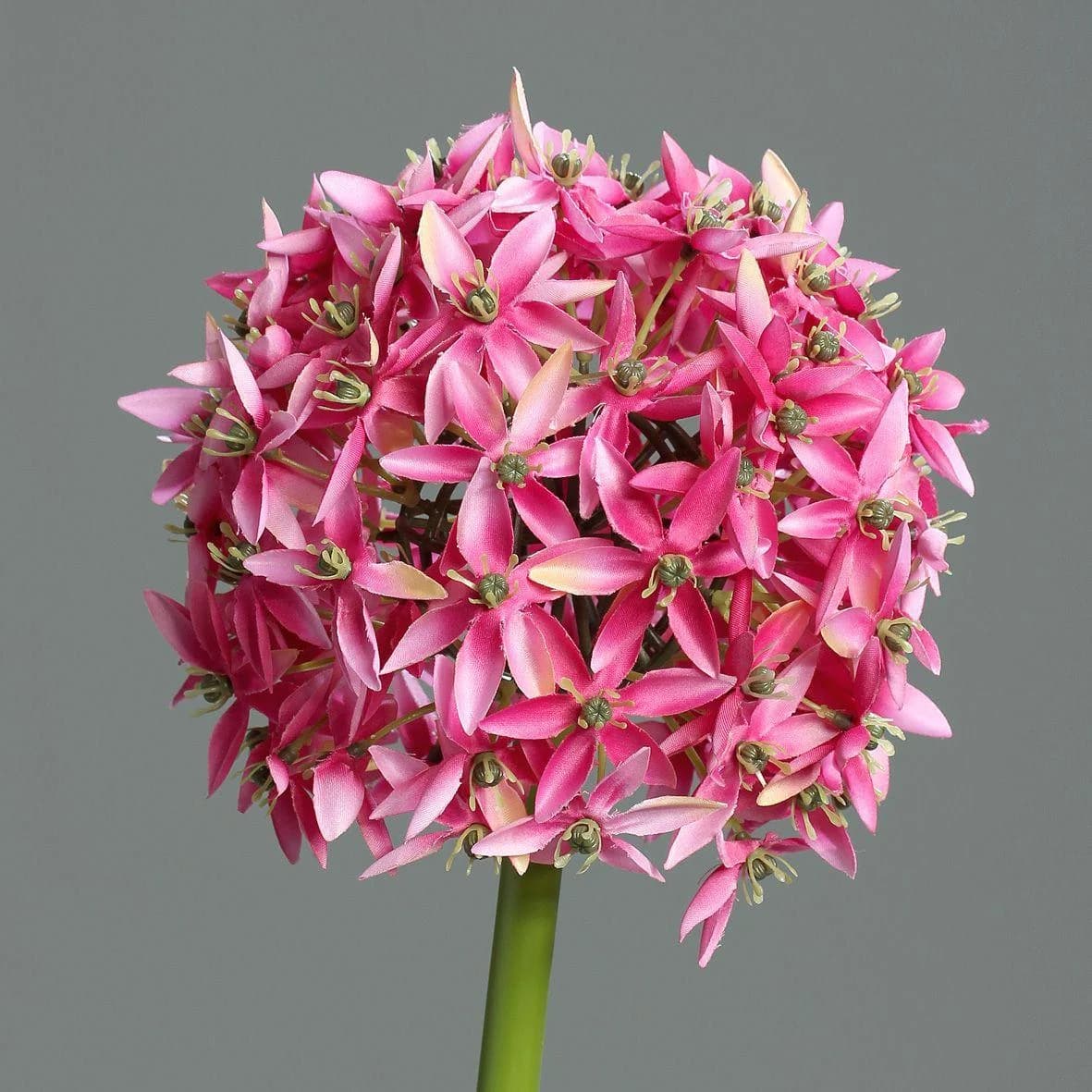 Kunstblume Allium Rosa DPI
