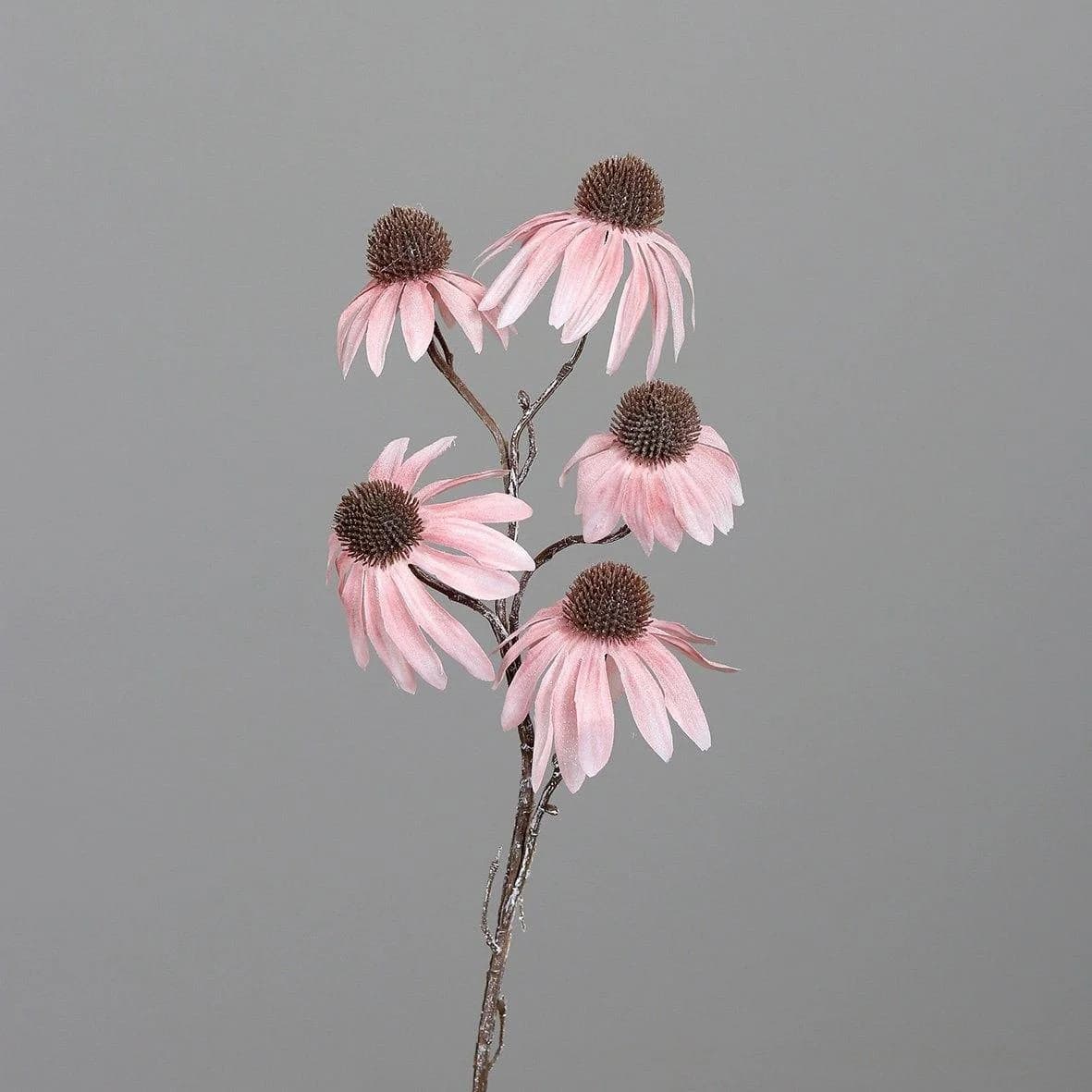 Kunstblume Sonnenhut Rosa DPI
