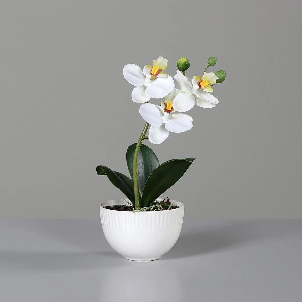 DPI Kunstblume ORCHIDEE Beige