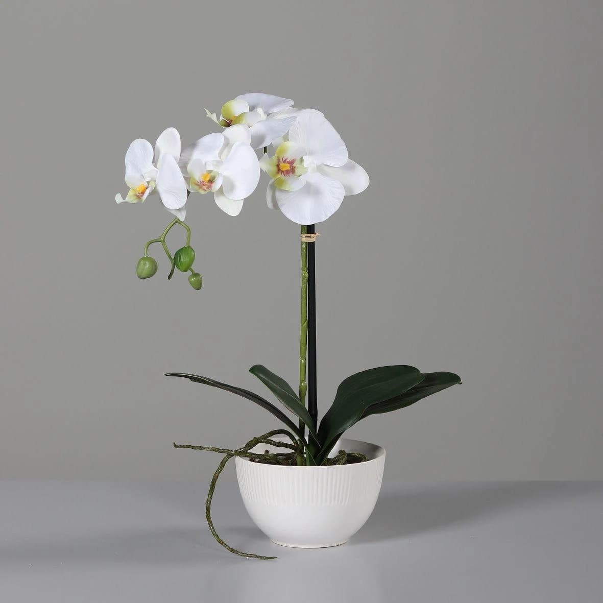 DPI Kunstblume Orchidee Creme
