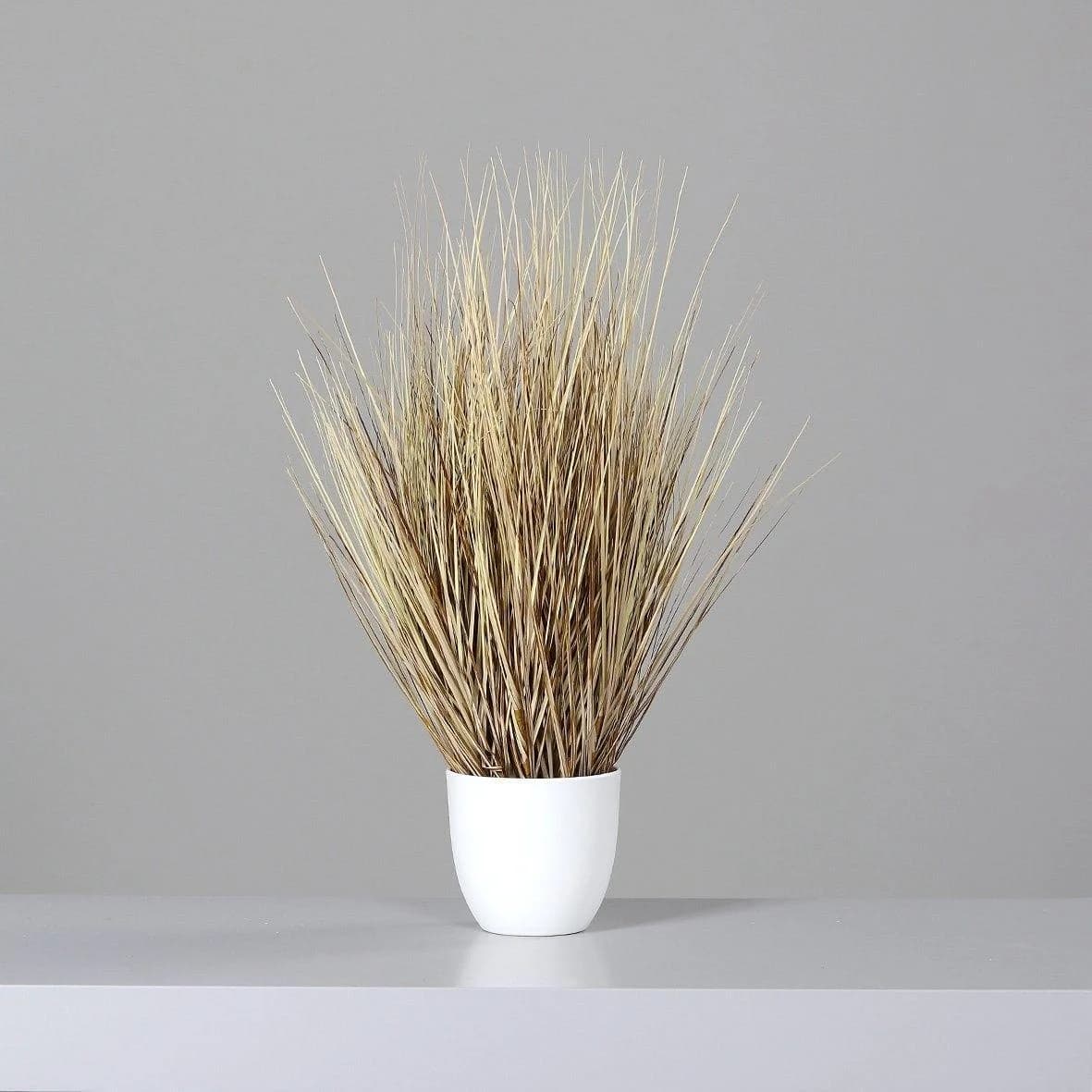 Kunstpflanze CALIFORNIA GRAS Beige Kunststoff