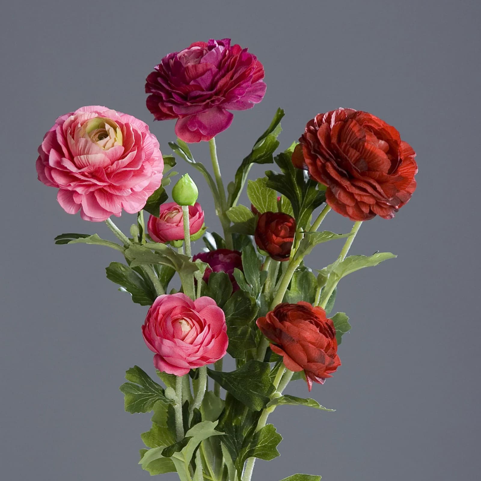 Kunstblume Ranunkel DPI Lila