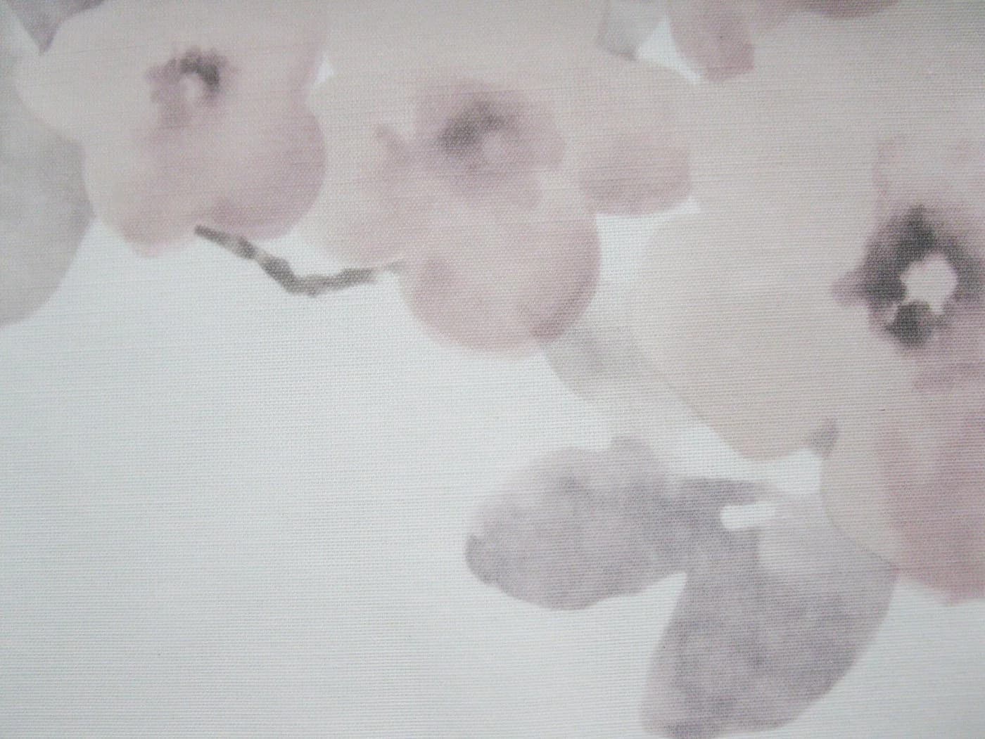 ELBERSDRUCKE Vorhang Ösenschal Kyoto 09 Beige Blumen-Design