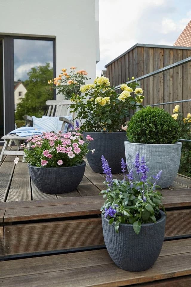 Scheurich BARCEO Blumentopf Schwarz GARDURO Kunststoff