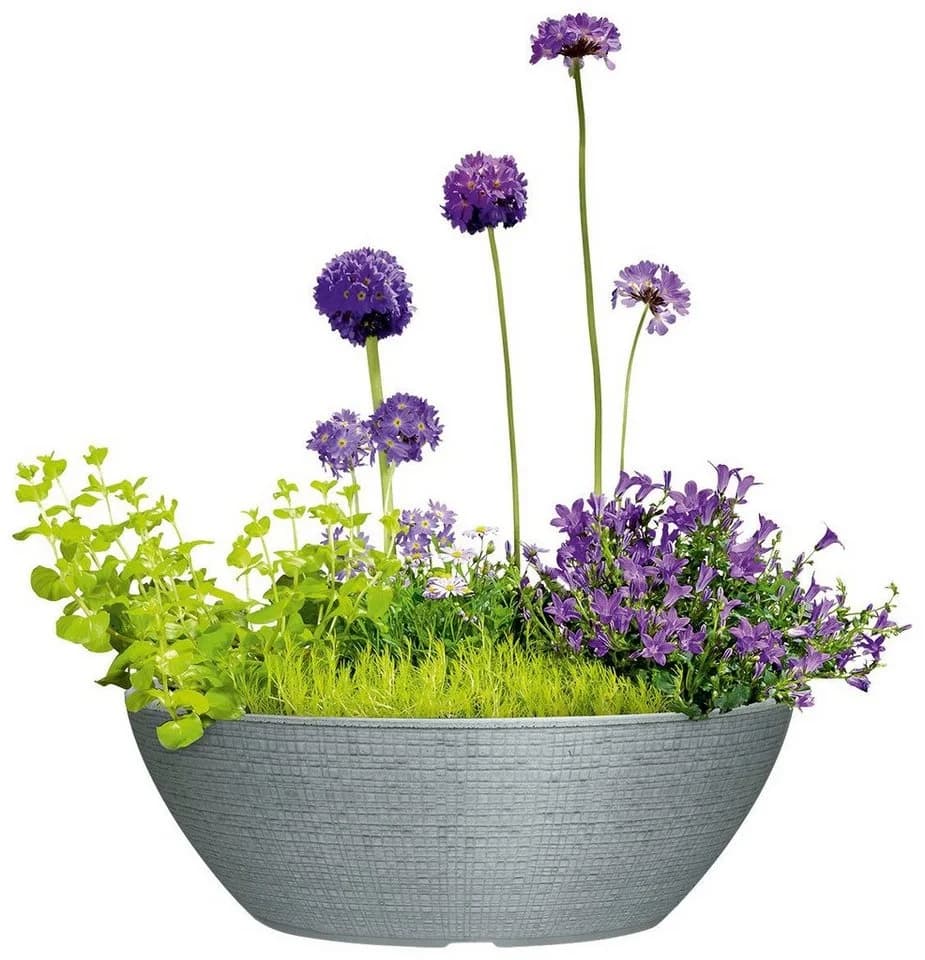 Scheurich BARCEO BOWL Blumentopf Grau Kunststoff
