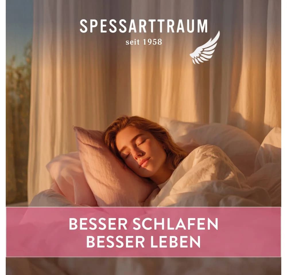 Spessarttraum 3-Kammer-Kopfkissen Exklusiv Daunenfüllung 40x40 cm
