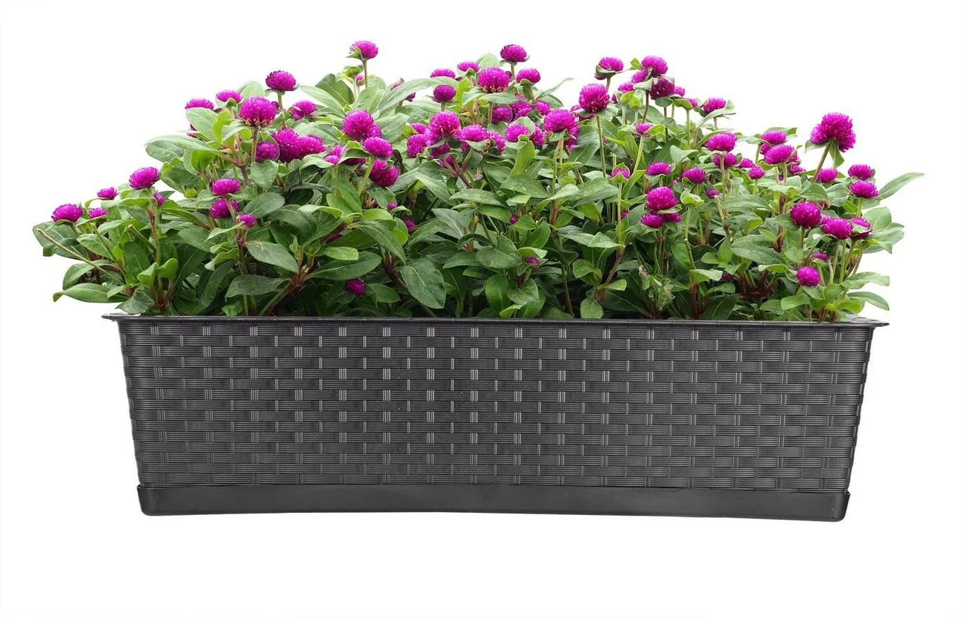 BigDean Blumenkasten 3er Set mit Untersetzer Rattan-Optik