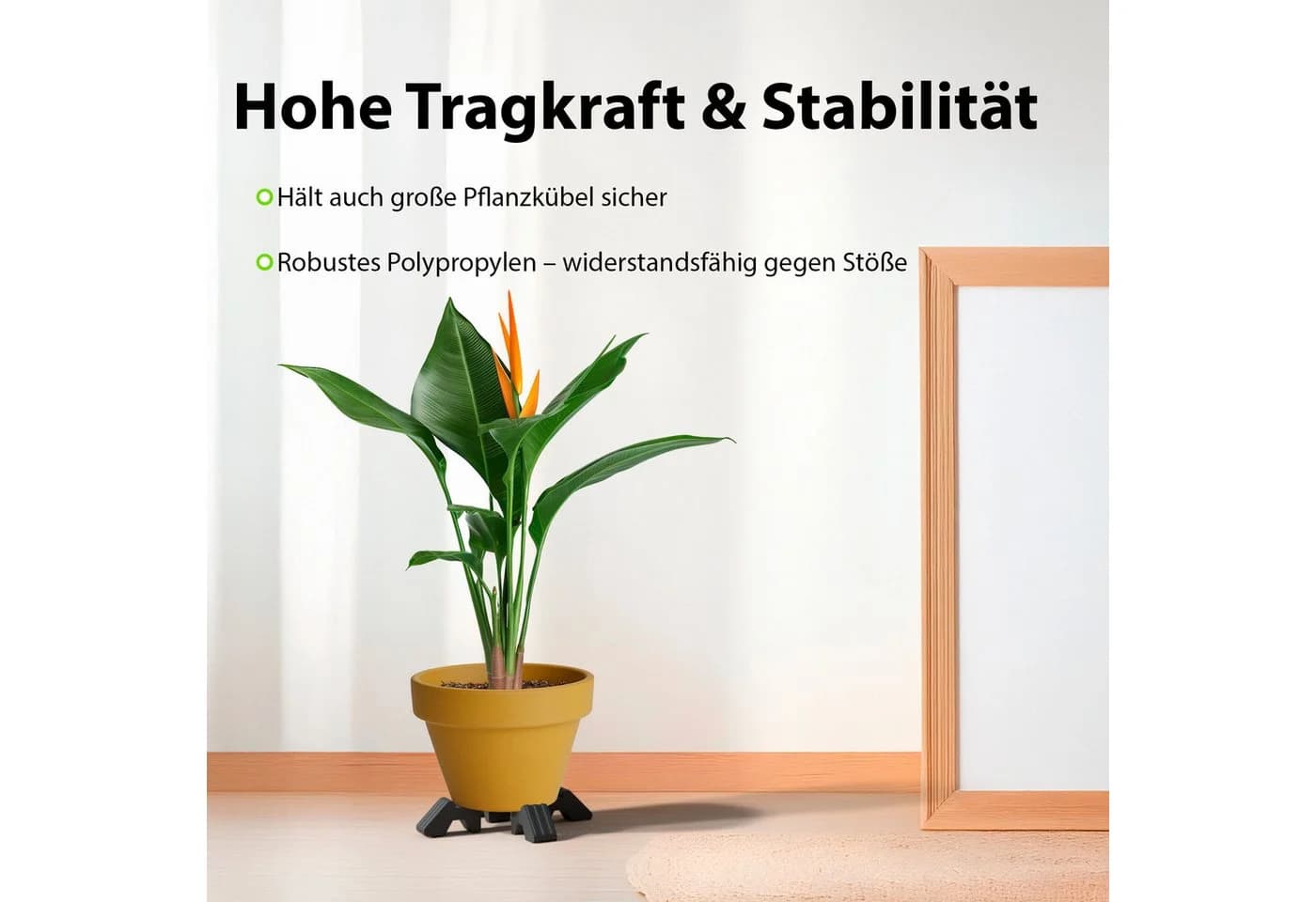 BigDean Standfuß 4x Füßchen für Blumentopf Anthrazit (24 St.)
