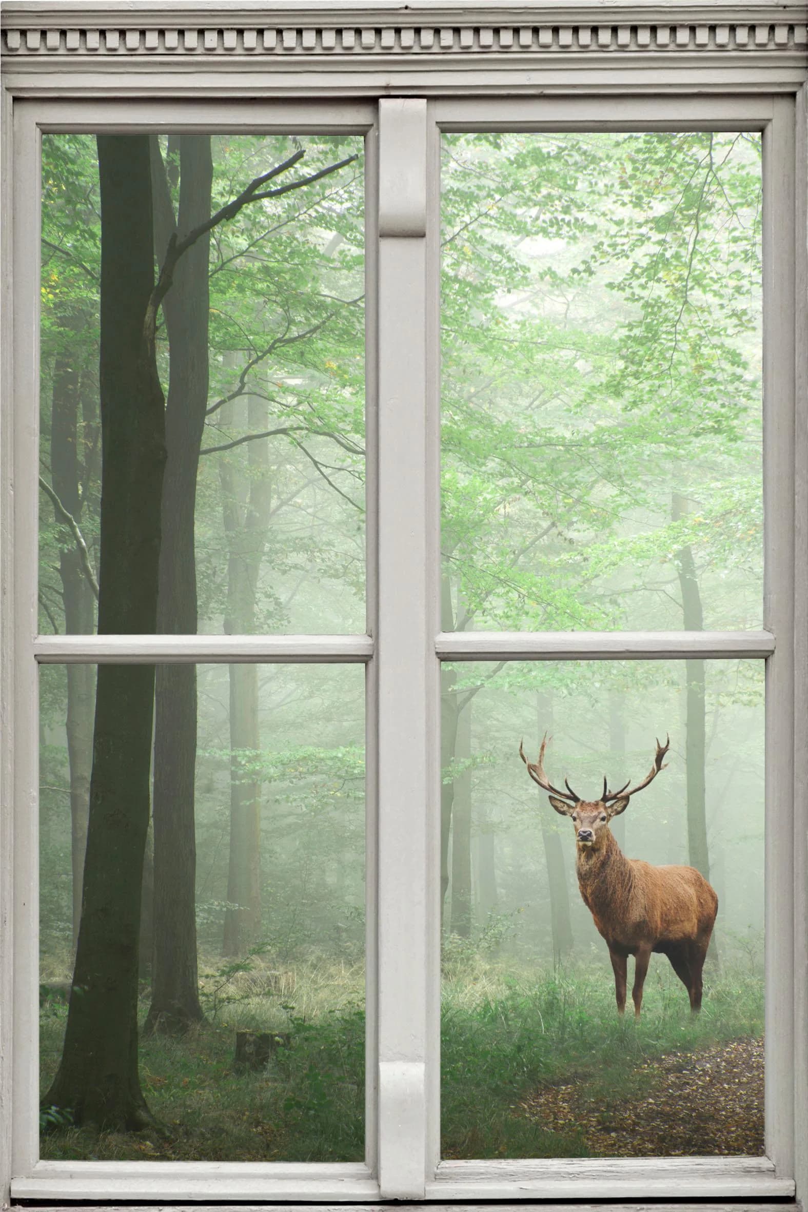 QUEENCE Wandsticker Hirsch Bunt 3D Selbstklebend