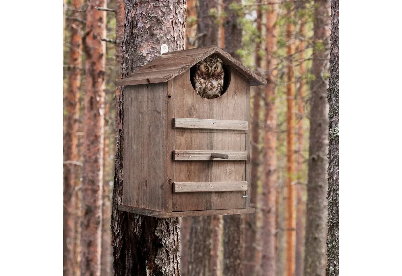 relaxdays Vogelhaus Eulen Nistkasten Holz Braun