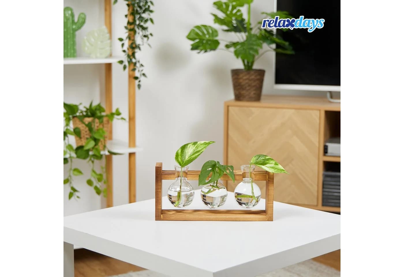 relaxdays Dekovase Reagenzglas Vase mit Ständer, Glas & Holz