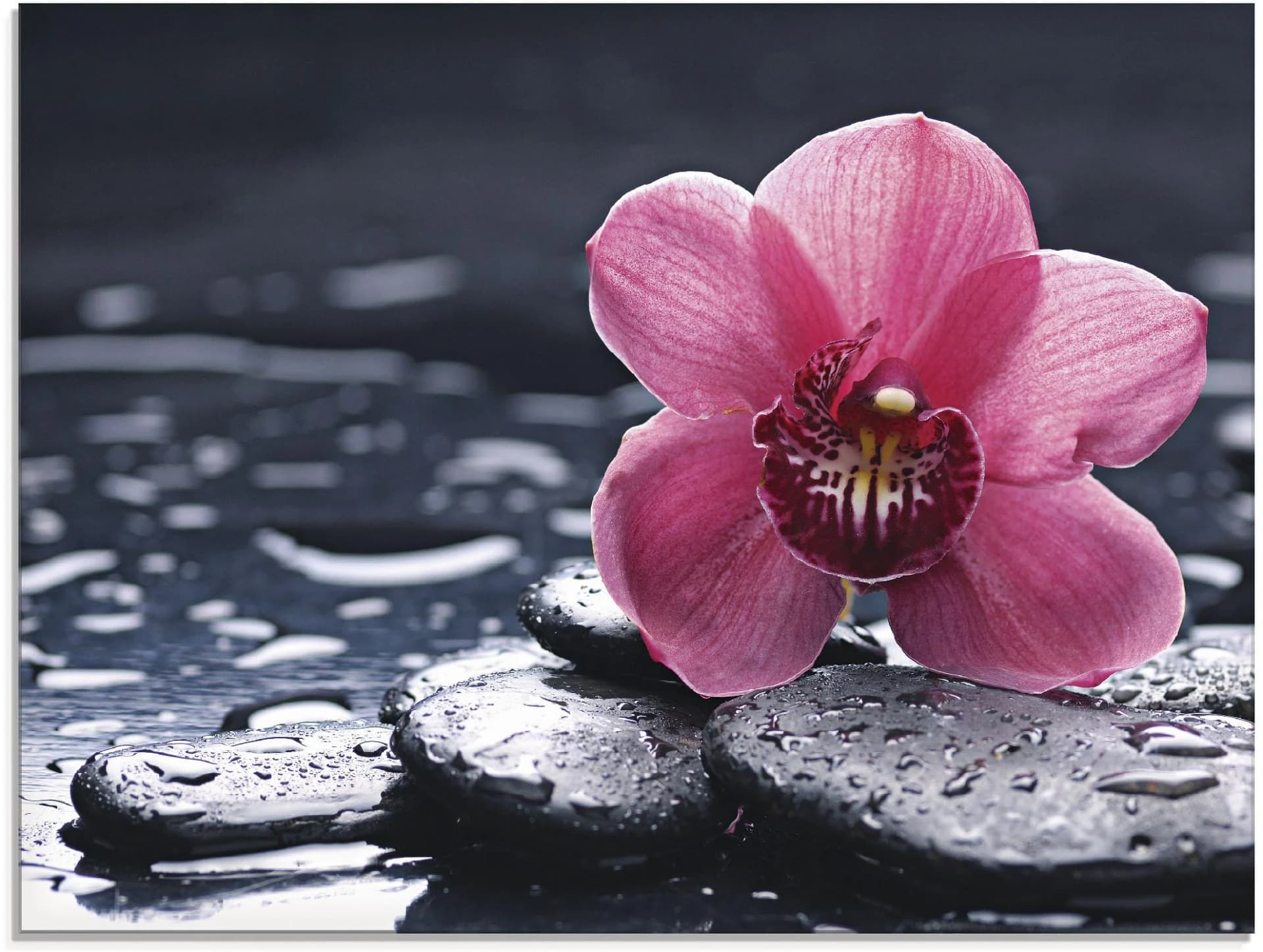 Artland Glasbild Stillleben mit Kiesel und Orchidee Pink