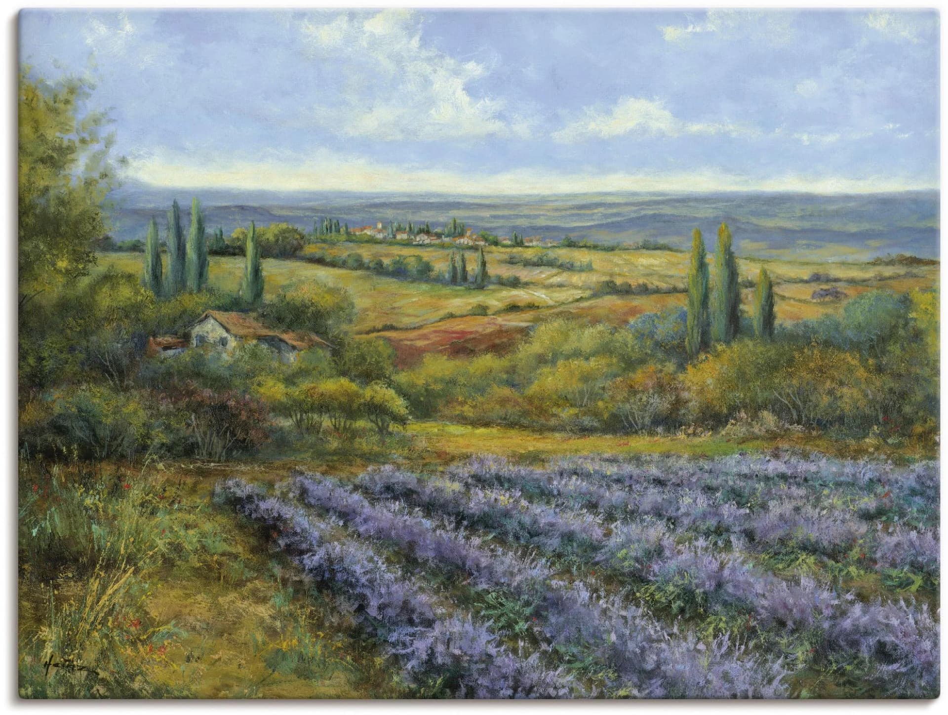 Wandbild Lavendelfelder in der Provence Leinwandbild